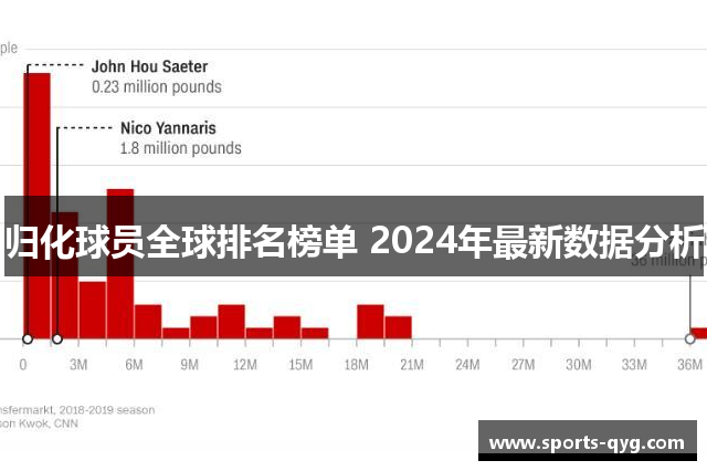 归化球员全球排名榜单 2024年最新数据分析